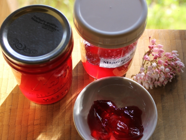 Manzanita blossom jelly in jars.
