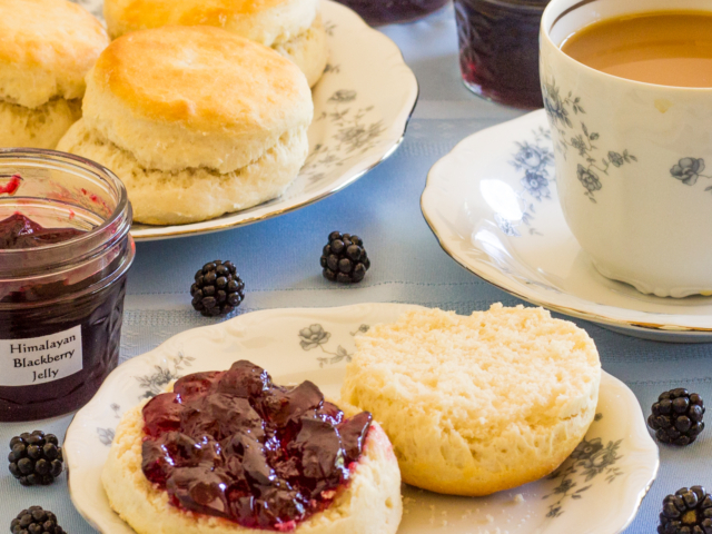 Blackberry jelly on fresh biscuit